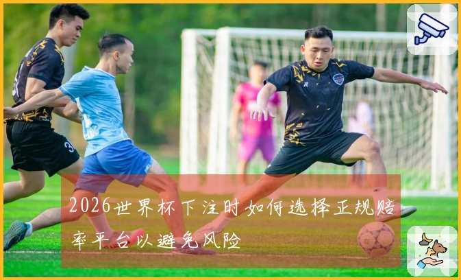 2026世界杯下注时如何选择正规赔率平台以避免风险